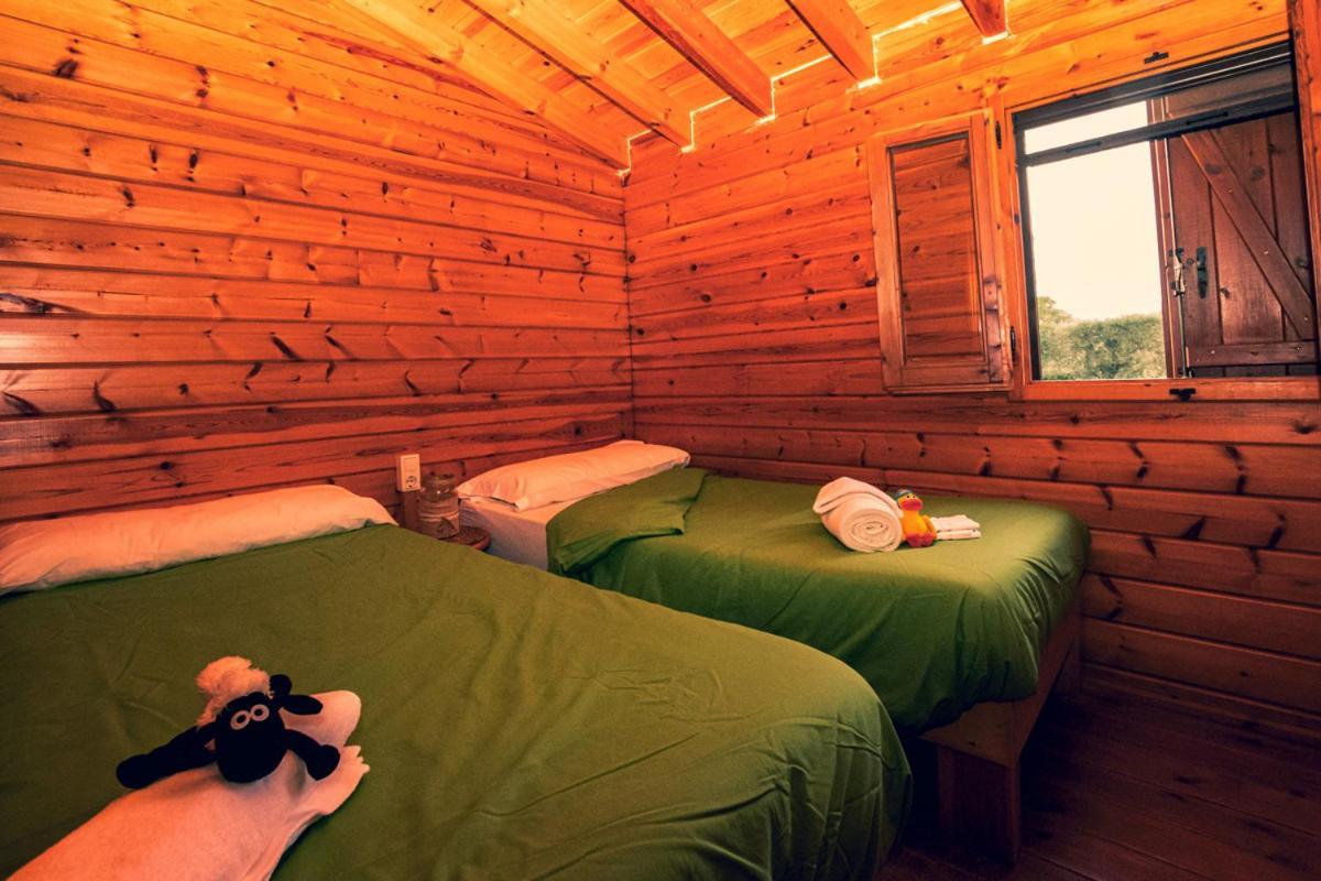 ホテル Ecologic Vinyols Camp Vinyols i Els Arcs エクステリア 写真